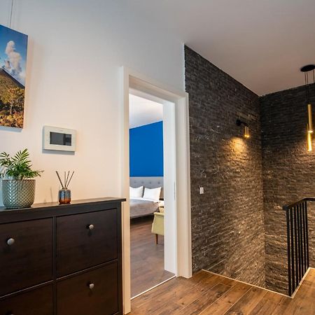 E-House Apartment Brasov Noua エクステリア 写真