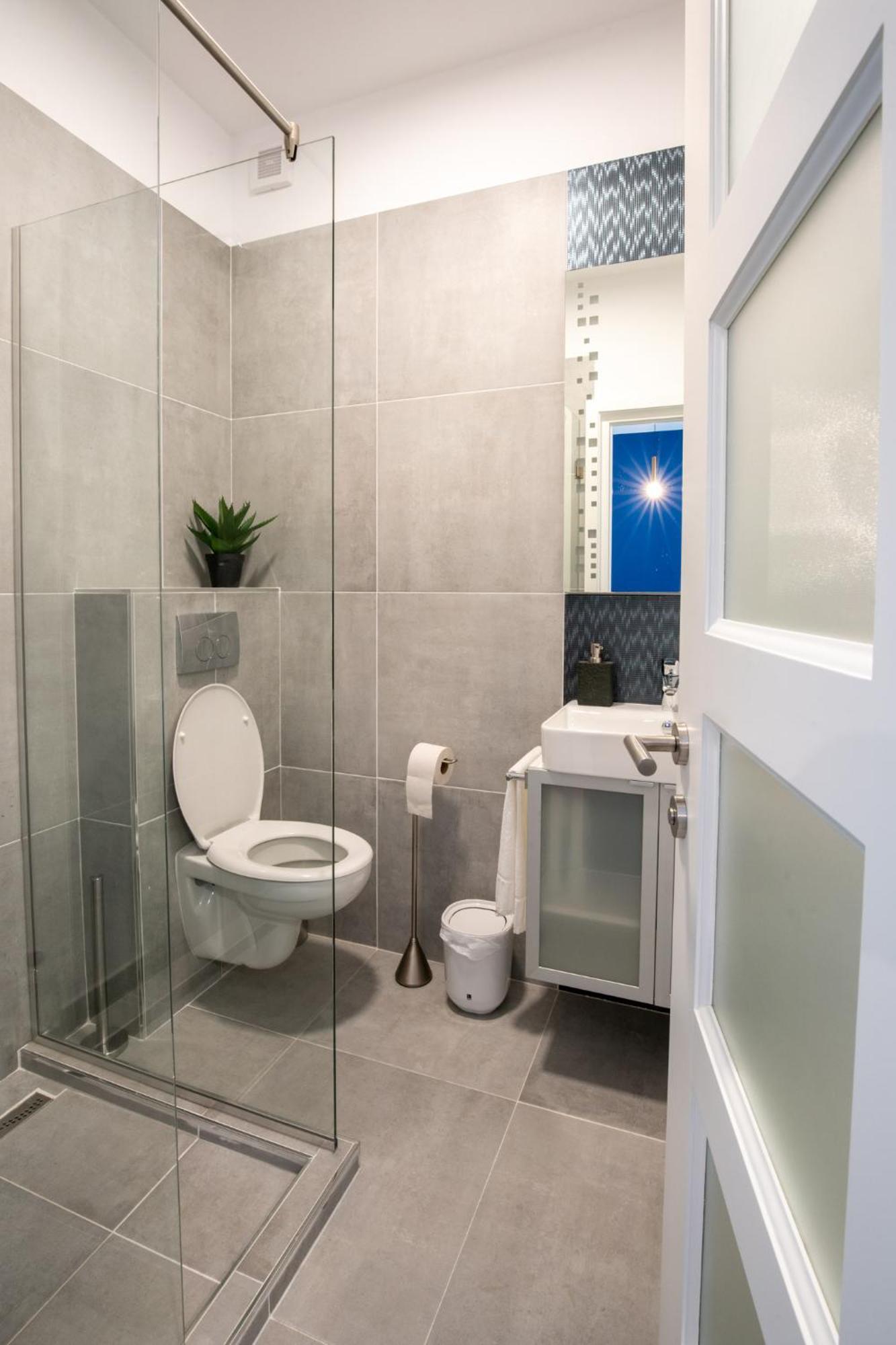 E-House Apartment Brasov Noua エクステリア 写真