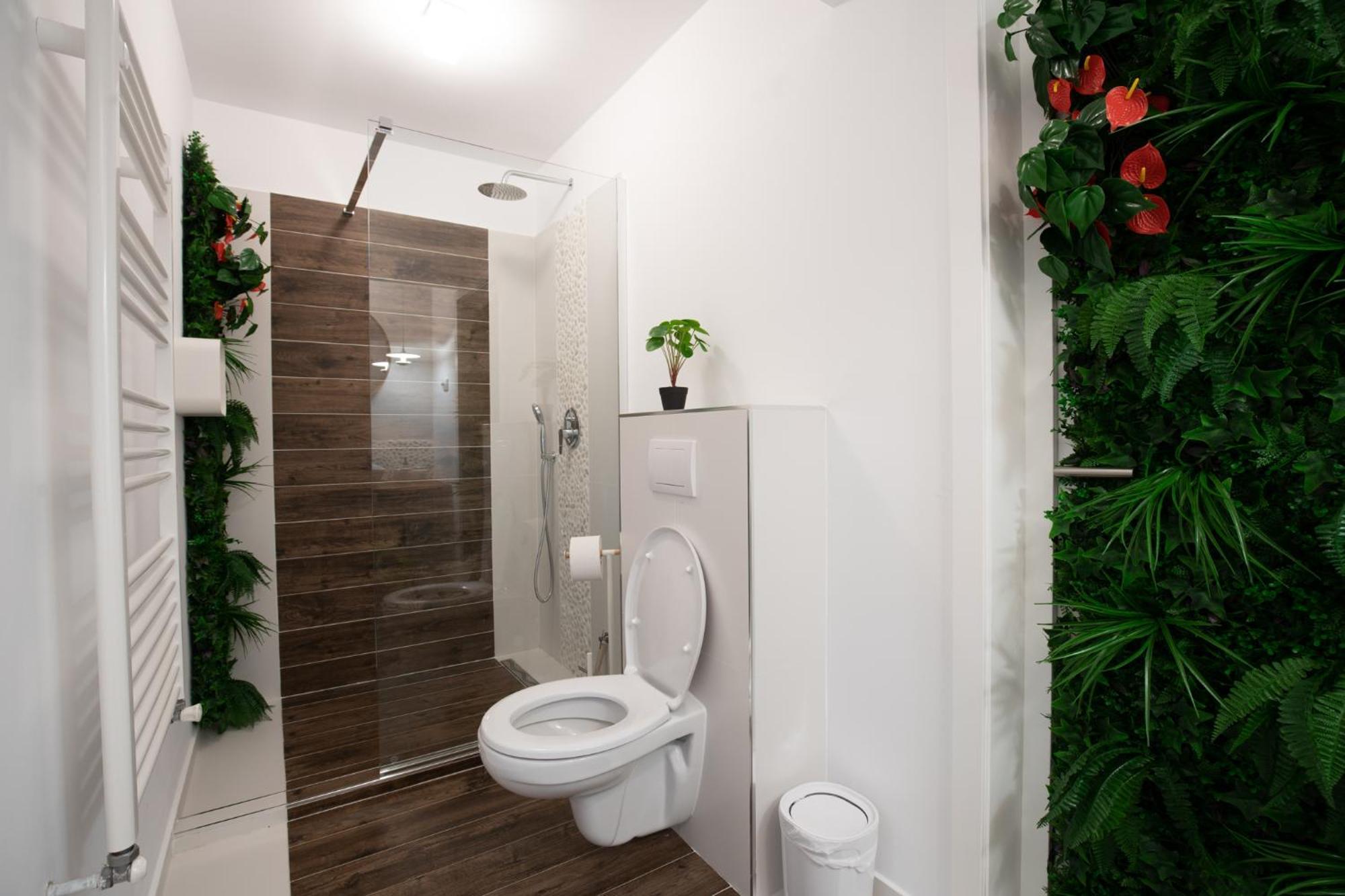 E-House Apartment Brasov Noua エクステリア 写真