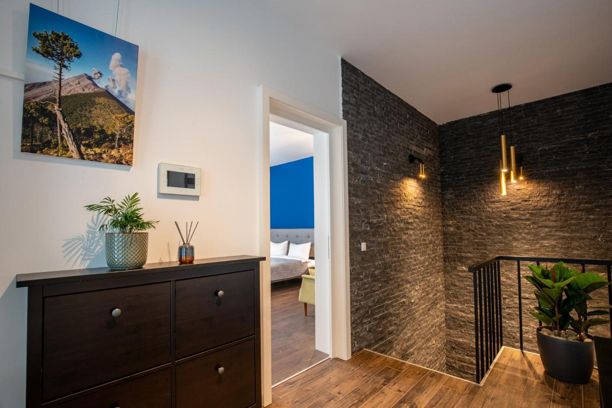 E-House Apartment Brasov Noua エクステリア 写真