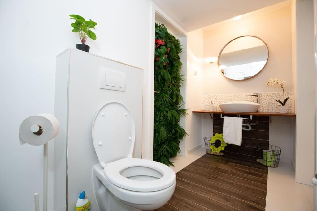 E-House Apartment Brasov Noua エクステリア 写真